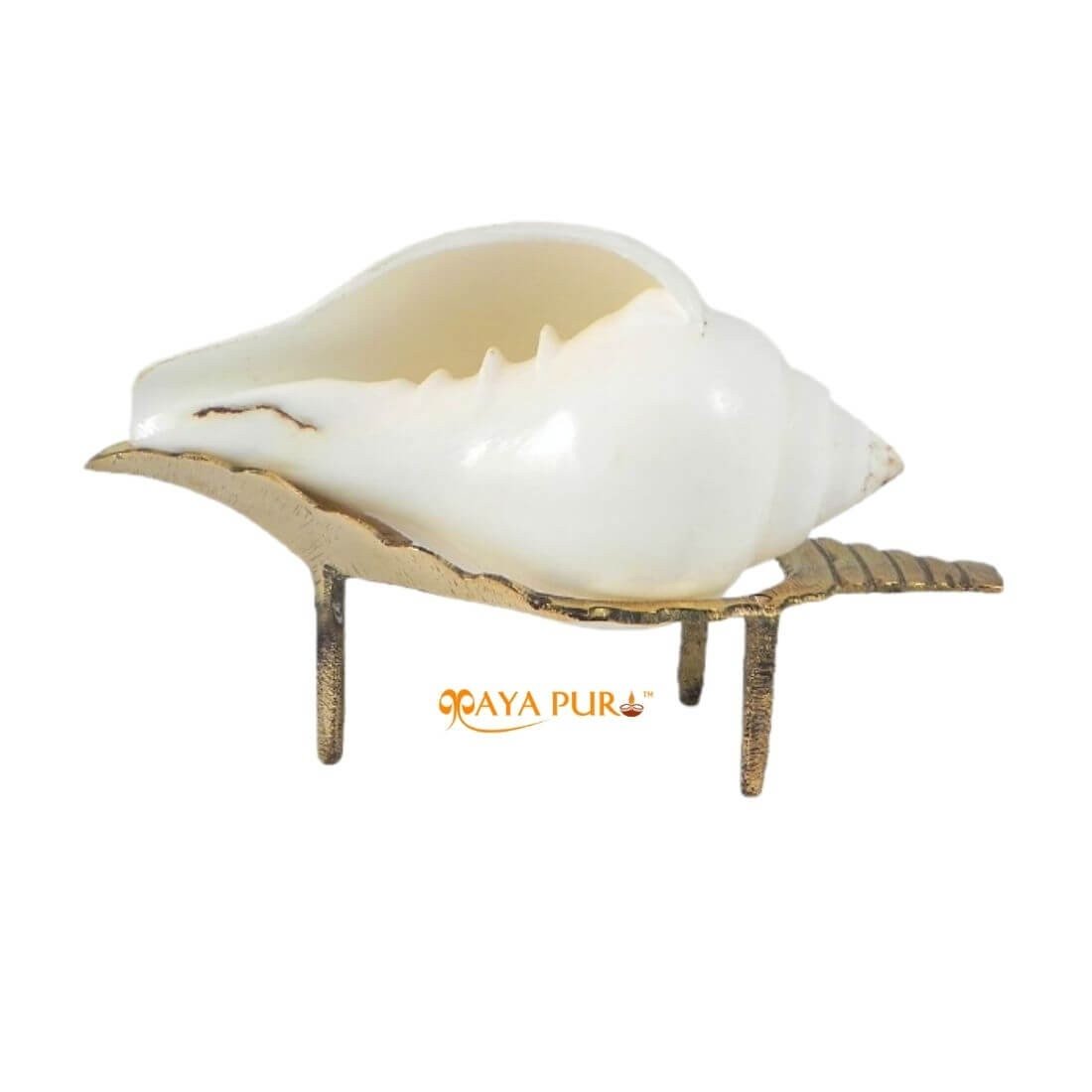 MAYAPURI Natural Puja Shankha/Jal Sankha | White Conch Shells with Sankha Stand